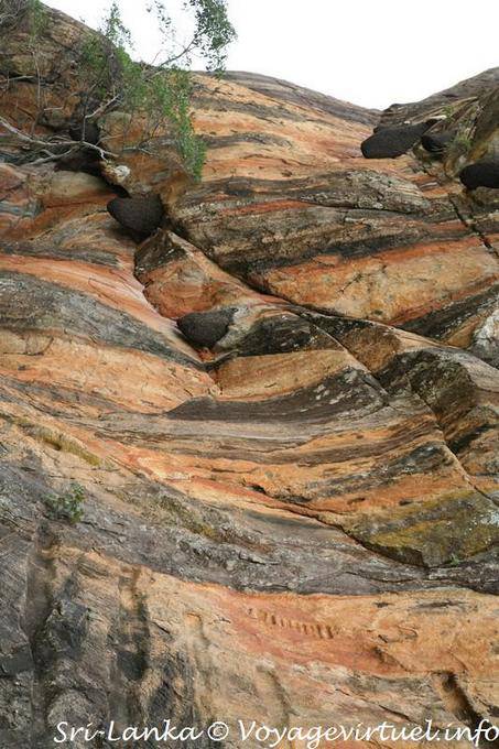 Sigiriya, il leone colorato strati di roccia - Ceylon Sri Lanka