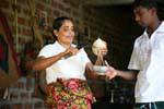 Noci tazza per bere il latte di cocco, Nalanda, Ceylon Sri Lanka.