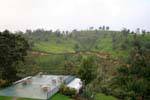Terrazza nel mezzo di piantagioni di tè paesaggio, Tea Factory, Nuwara Eliya, Ceylon Sri Lanka.