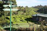 Topiary nel giardino del Tea Factory Hotel, Nuwara Eliya, Ceylon Sri Lanka.