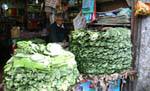 Mucchio di foglie di betel decisione mercato Nuwara Eliya, Ceylon Sri Lanka.