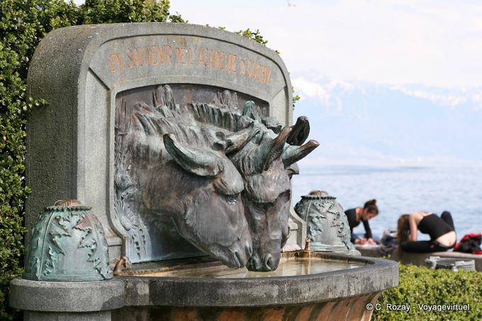 Scultura di tre asini Ouchy - La Svizzera