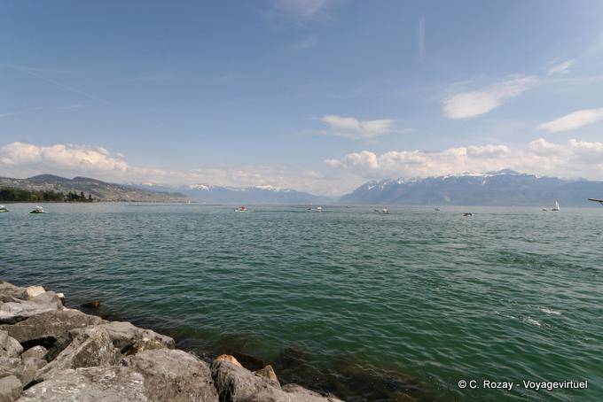 Verde del Lago di Ginevra, Ouchy, Losanna - La Svizzera