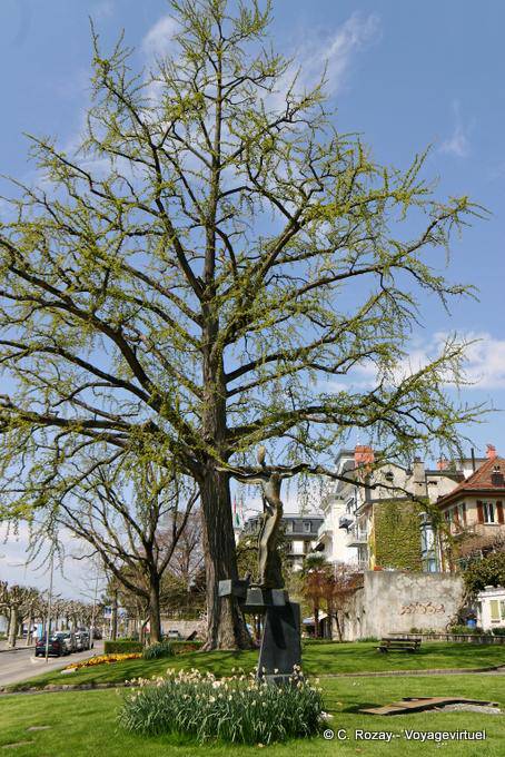 L'albero e la scultura, Perdonnet molo, Vevey - La Svizzera