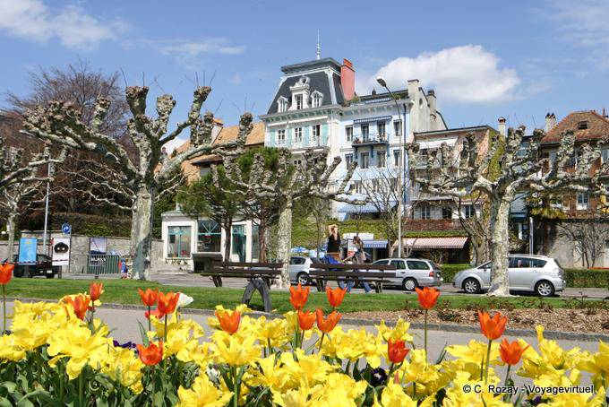 Tulipani sul Quai Perdonnet, Vevey - La Svizzera