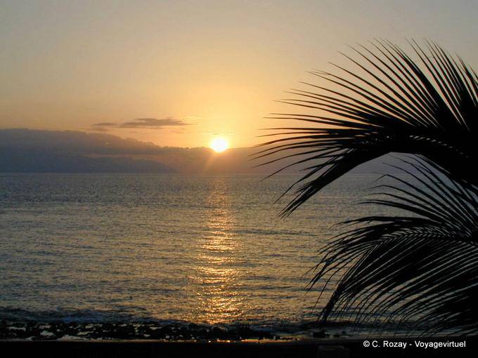 Sol Arena, il tramonto, Tenerife