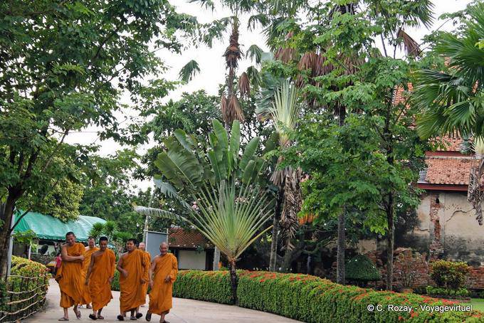 I monaci e l'albero del viaggiatore, Wat Yai Chai Mongkol, Ayutthaya - La Tailandia