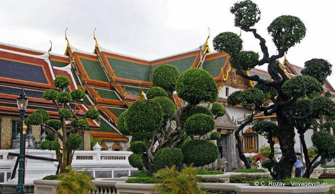 Potato, Wat Pho (Wat Phra Chettuphon), Bangkok - La Tailandia