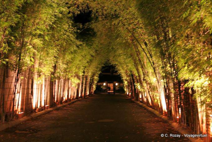 Passo carraio bambù, Chiang Mai - La Tailandia