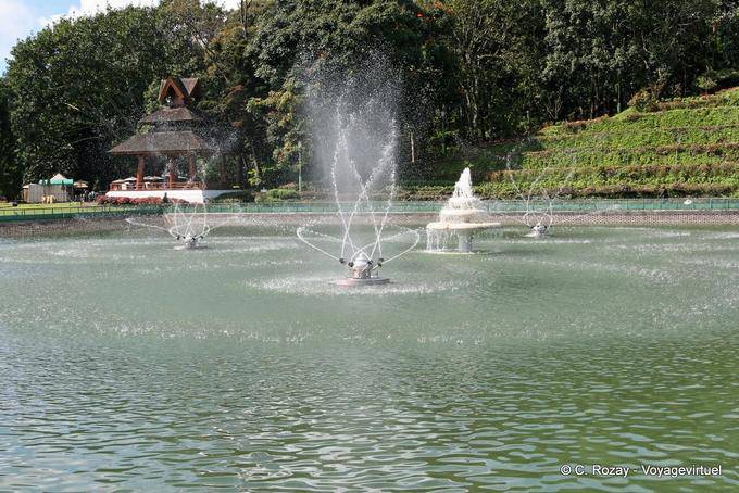 Rotazione getti d'acqua, Phuping Palace, Chiang Mai - La Tailandia