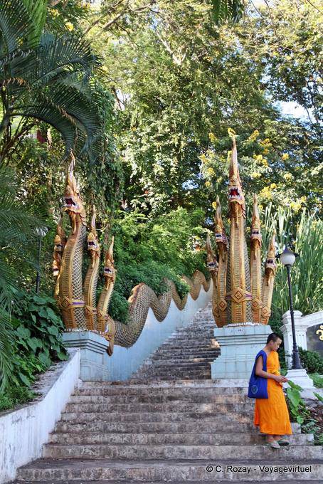 Scale per il Naga Phrathat Doi Suthep, Chiang Mai Tempio - La Tailandia
