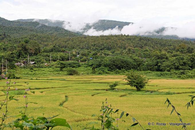 Campagna intorno a Chiang Mai - La Tailandia