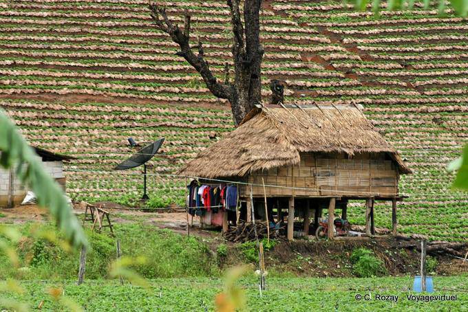 Casa di campagna, Chiang Mai - La Tailandia