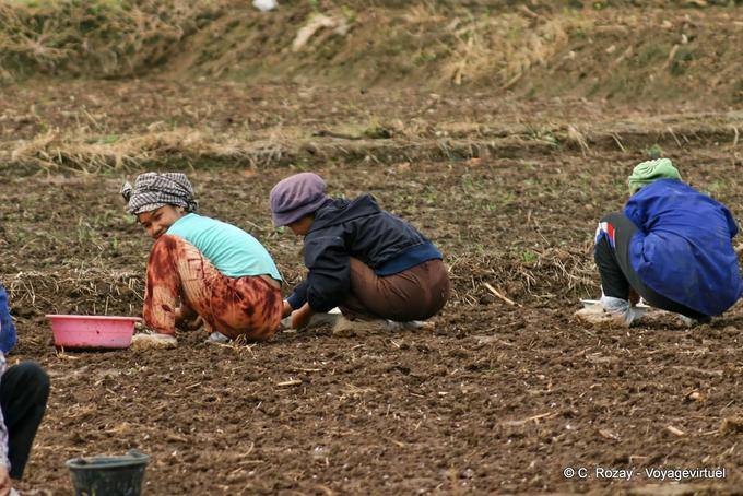 Le donne accovacciati a lavorare, Chiang Mai - La Tailandia