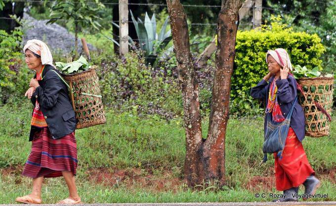Contadina portando la vendemmia, Chiang Mai - La Tailandia