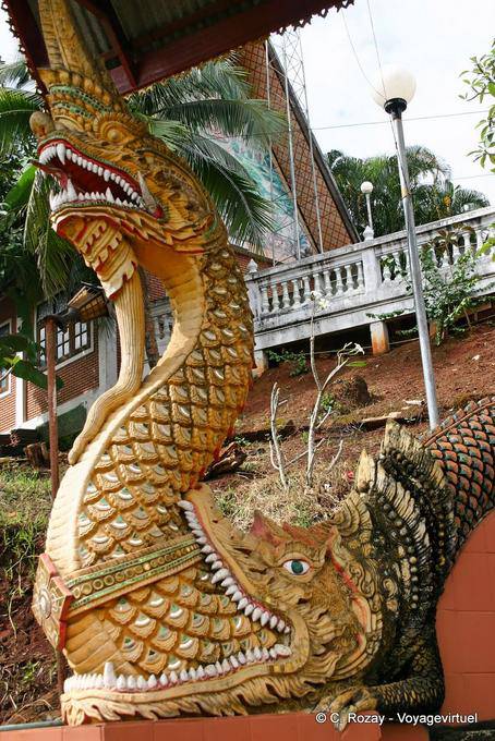 Il naga coccodrillo mangiare, nord-ovest di Chiang Mai - La Tailandia