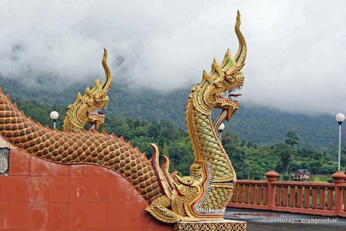 Naga chimerica, Chiang Mai - La Tailandia