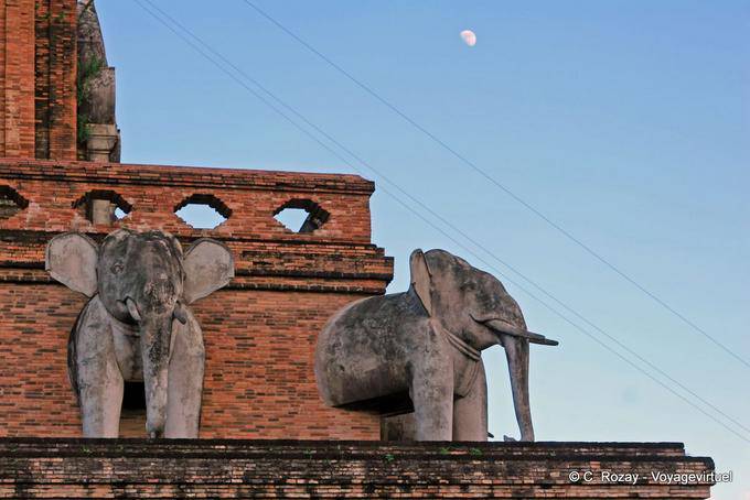 Elefanti e la luna, Wat Chedi Luang, Chiang Mai - La Tailandia
