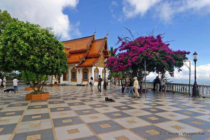 Il cane sul terrazzo, Wat Doi Suthep, Chiang Mai - La Tailandia