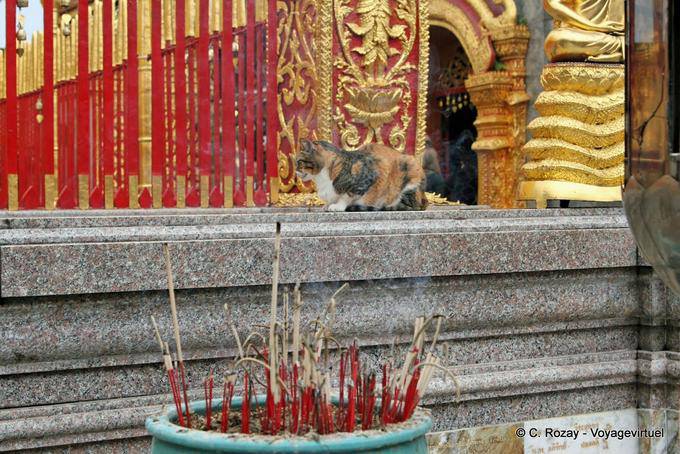 Chat e incenso, Wat Doi Suthep, Chiang Mai - La Tailandia