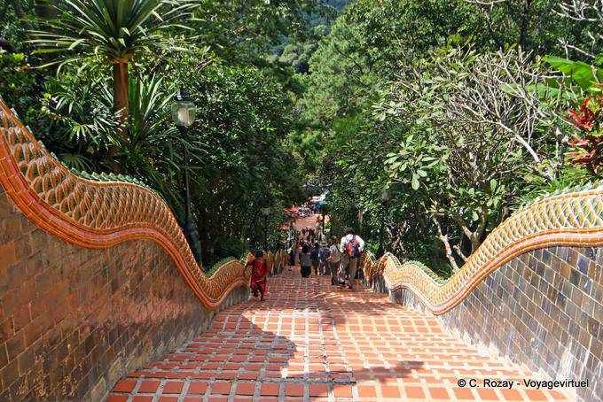 Tappeto rosso, Wat Doi Suthep, Chiang Mai - La Tailandia