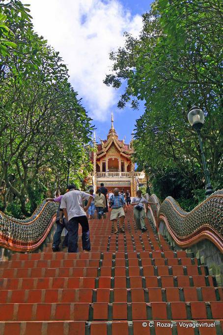 Lo scalone, Wat Doi Suthep, Chiang Mai - La Tailandia