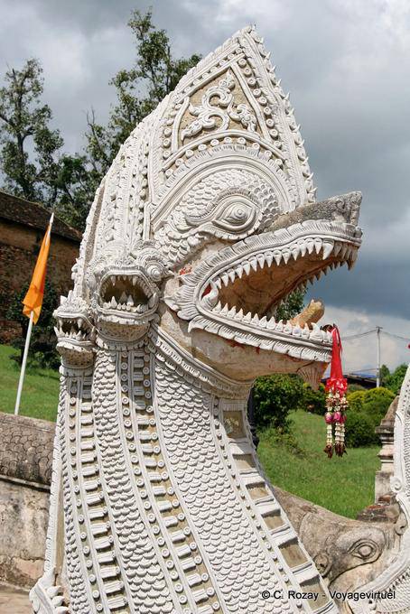 Testa naga bianco, Lampang - La Tailandia