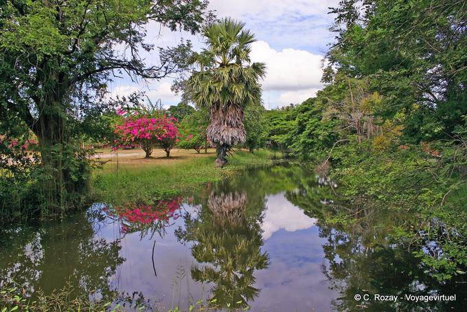 Natura in Historical Park, Sukhothai, Wat Phra Pai Luang - La Tailandia