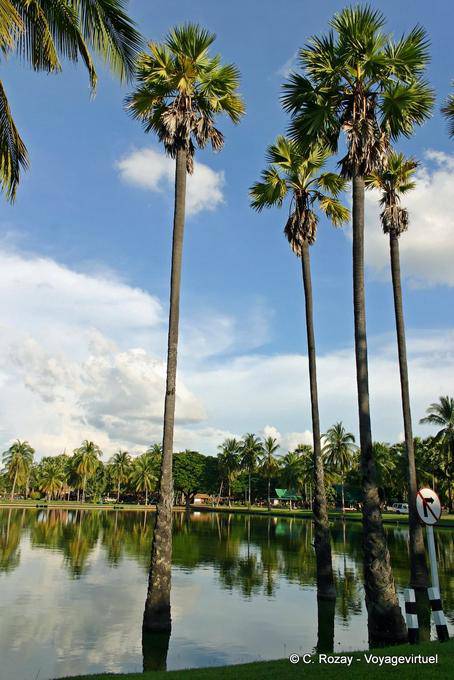 Stagno e palme, Sukhothai, il Wat Trapang Ngoen - La Tailandia