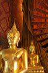 Allineamento buddista, Wat Choeng Phanan, Ayutthaya, La Tailandia.