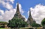 Chedis anteriori Frangipani, Ayutthaya, Wat Phra Sri Samp, La Tailandia.