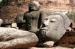 Testa Terra, Wat Raj Burana, Ayutthaya, La Tailandia.