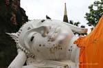 Sorriso del Buddha disteso, Wat Yai Chai Mongkol, Ayutthaya, La Tailandia.