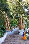 Scale per il Naga Phrathat Doi Suthep, Chiang Mai Tempio, La Tailandia.