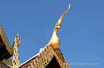 Wat Pan Tao Chofah di Chiang Mai Tempio, La Tailandia.