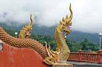 Naga chimerica, Chiang Mai, La Tailandia.