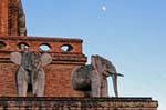 Elefanti e la luna, Wat Chedi Luang, Chiang Mai, La Tailandia.
