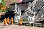 Monaci e naga, Wat Chedi Luang, Chiang Mai, La Tailandia.
