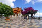 Il cane sul terrazzo, Wat Doi Suthep, Chiang Mai, La Tailandia.