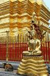 Buddha Dhyana Mudra-Wat Doi Suthep, Chiang Mai, La Tailandia.