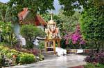 Un Tempio di vegetazione, Wat Doi Suthep, Chiang Mai, La Tailandia.