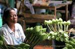 Lotus, preparazione di offerte, Wat Doi Suthep, Chiang Mai, La Tailandia.