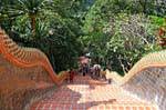 Tappeto rosso, Wat Doi Suthep, Chiang Mai, La Tailandia.