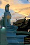 Il Custode di ingresso, Wat Phra Singh, Chiang Mai, La Tailandia.