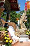 Naga Snake all'ingresso di Viharn Luang, il Wat Phra Singh, Chiang Mai, La Tailandia.