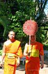 Giovani monaci ridere, Wat Phra Singh, Chiang Mai, La Tailandia.
