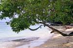 Un amaca on Sea, Koh Phi Phi, La Tailandia.