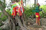 La devozione nella foresta, Koh Phi Phi, La Tailandia.