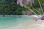 Nuoto sotto gli alberi di cocco, Koh Phi Phi, La Tailandia.