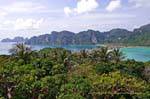 Bacche e Loh Dalam Tonsai, Phi Phi Island, La Tailandia.